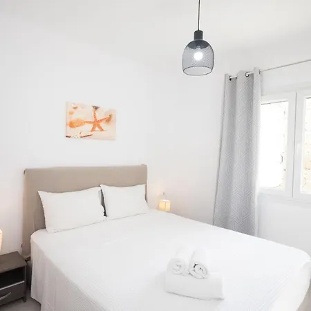 Dual Apts With Pool Ideal For 10 Guests In Mykonos Appartement Plintri