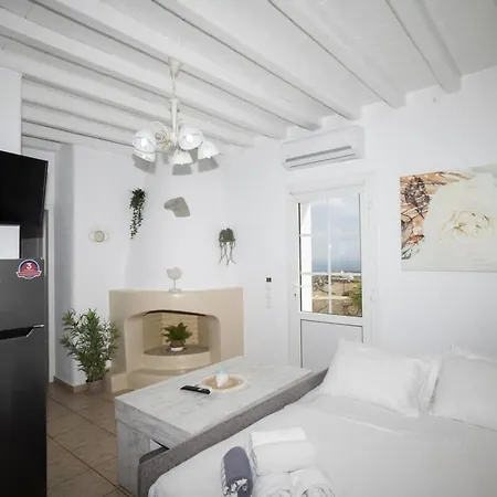 Dual Apts With Pool Ideal For 10 Guests In Mykonos Appartement