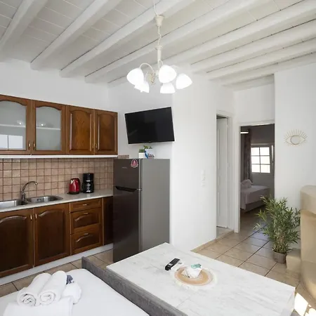Dual Apts With Pool Ideal For 10 Guests In Mykonos *