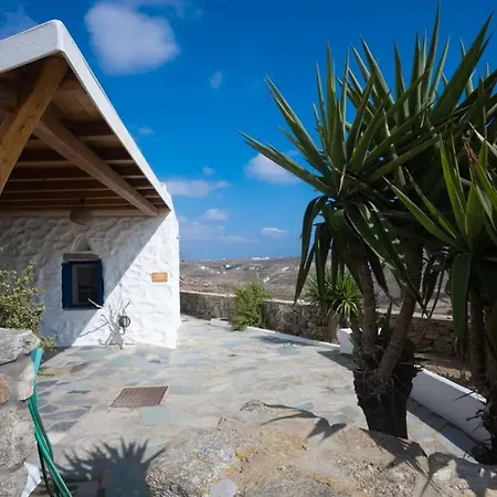 Dual Apts With Pool Ideal For 10 Guests In Mykonos *